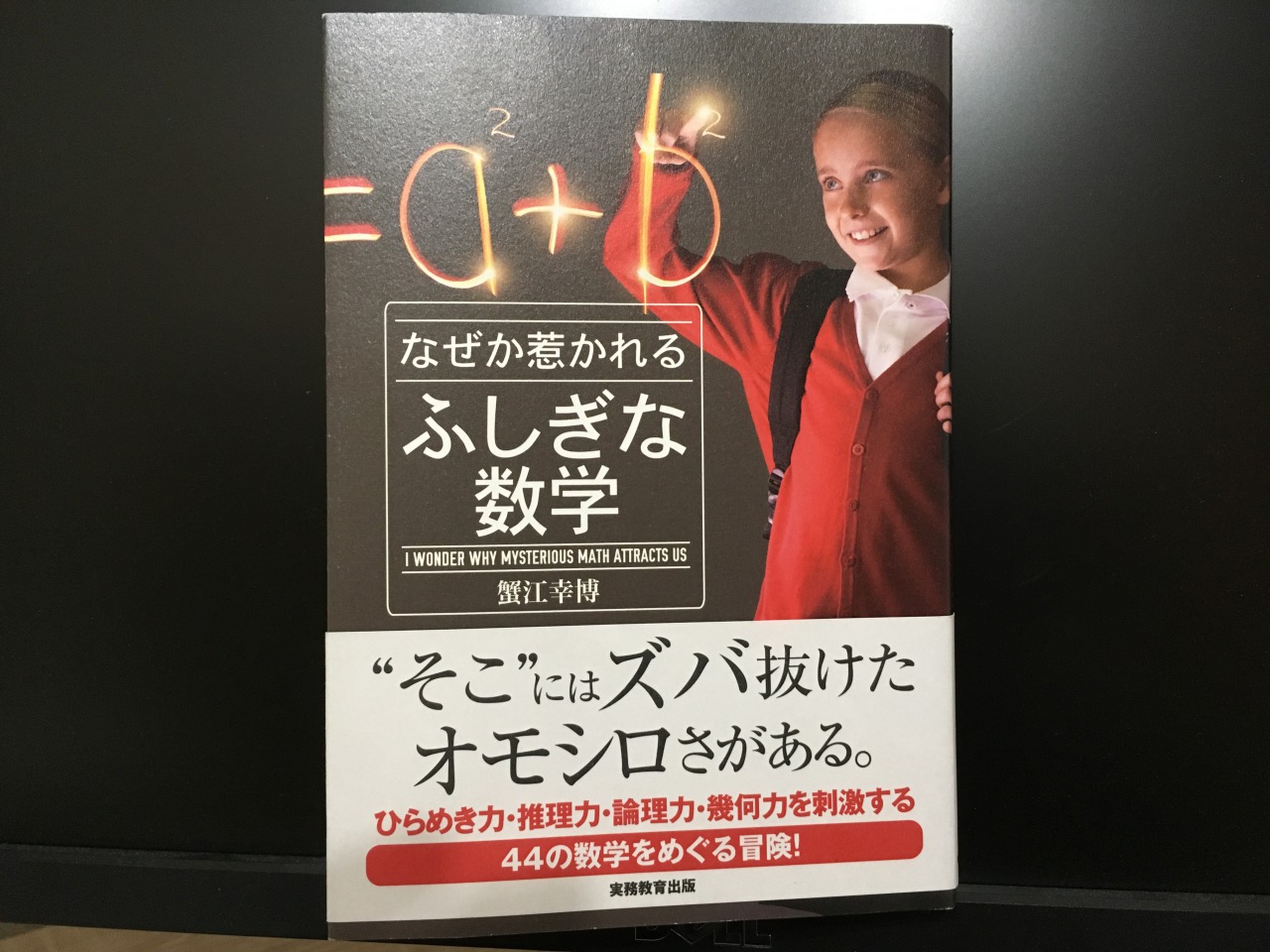 なぜか惹かれるふしぎな数学